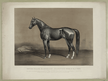Public domain image from the Library | Free Photo - rawpixel