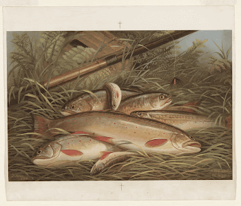 Public domain image from the Library | Free Photo - rawpixel