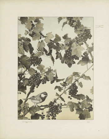 Public domain image from the Rijksmuseum | Free Photo - rawpixel