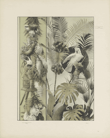 Public domain image from the Rijksmuseum | Free Photo - rawpixel