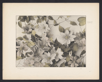Public domain image from the Rijksmuseum | Free Photo - rawpixel