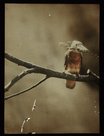 Public domain image from the Rijksmuseum | Free Photo - rawpixel