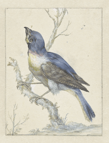 Public domain image from the Rijksmuseum | Free Photo - rawpixel