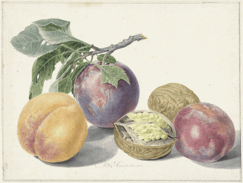 Public domain image from the Rijksmuseum | Free Photo - rawpixel