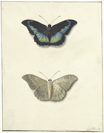 Public domain image from the Rijksmuseum | Free Photo - rawpixel