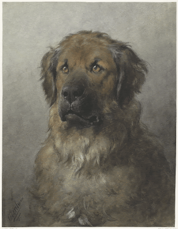 Public domain image from the Rijksmuseum | Free Photo - rawpixel
