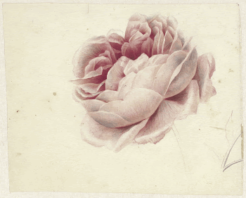 Public domain image from the Rijksmuseum | Free Photo - rawpixel