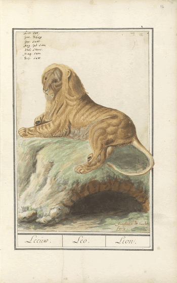 Public domain image from the Rijksmuseum | Free Photo - rawpixel