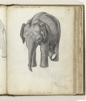 Public domain image from the Rijksmuseum | Free Photo - rawpixel