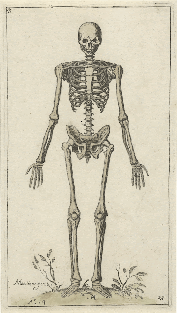 Public domain image from the Rijksmuseum | Free Photo - rawpixel