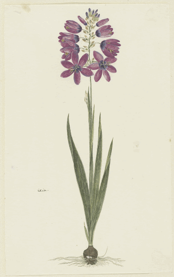 Public domain image from the Rijksmuseum | Free Photo - rawpixel