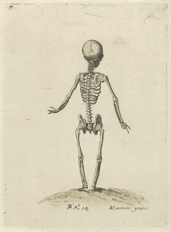 Public domain image from the Rijksmuseum | Free Photo - rawpixel
