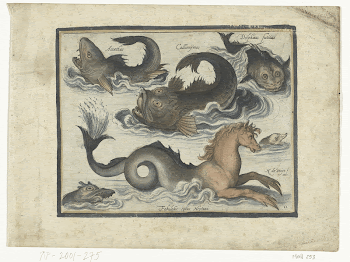 Public domain image from the Rijksmuseum | Free Photo - rawpixel