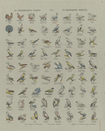 Public domain image from the Rijksmuseum | Free Photo - rawpixel