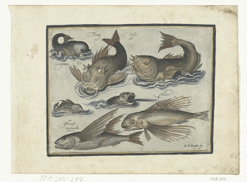 Public domain image from the Rijksmuseum | Free Photo - rawpixel