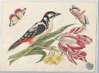 Public domain image from the Smithsonian | Free Photo - rawpixel
