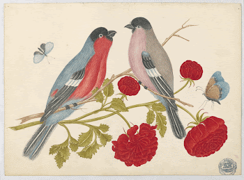Public domain image from the Smithsonian | Free Photo - rawpixel
