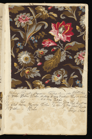 Public domain image from the Smithsonian | Free Photo - rawpixel