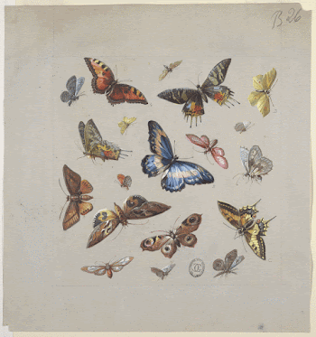 Public domain image from the Smithsonian | Free Photo - rawpixel