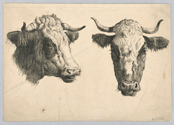 Public domain image from the Smithsonian | Free Photo - rawpixel