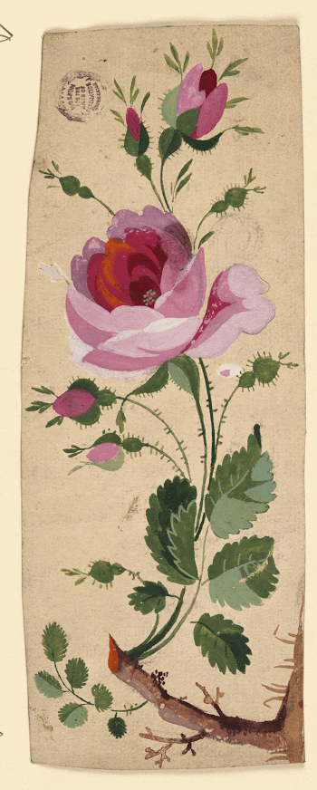 Public domain image from the Smithsonian | Free Photo - rawpixel