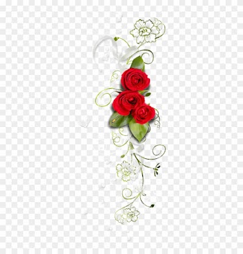 Publicat De Eu Ciresica La - Garden Roses