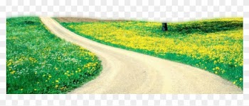 Publicat De Eu Ciresica La - Nature Backgrounds