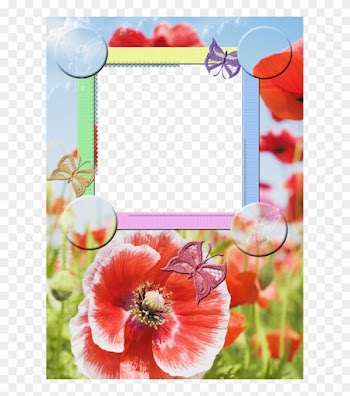 Publicat De Eu Ciresica La - Picture Frame