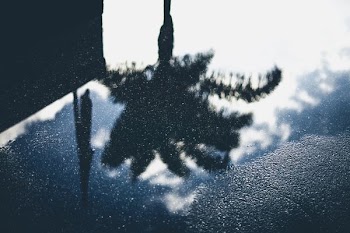 puddle in the ground