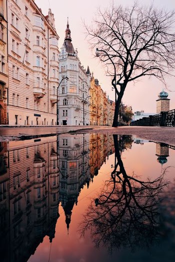 puddle on road beside concrete buildings