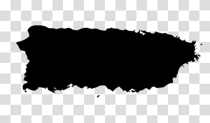 Puerto Rico | IsraAID