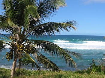 PuertoRico2005053.jpg