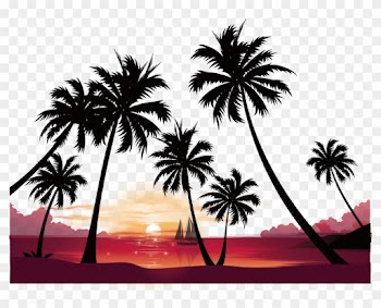 Puesta De Sol De Vídeo De Alta Definición De La Imagen - Palm Tree Sunset Background