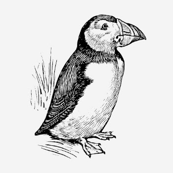 Puffin, bird illustration in black | Free Photo Illustration - rawpixel