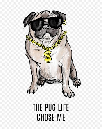 Pug All Cappuccino Cafe Blaumaņa Street Dog breed - pug 
