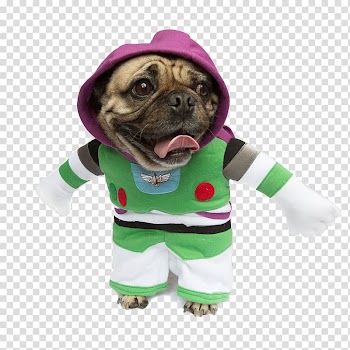 Pug Buzz Lightyear Dog breed Costume Puppy, dog comes to pay new year's call! transparent background PNG clipart