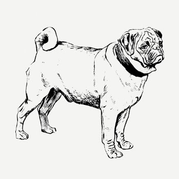 Pug dog, animal clipart psd. | Free PSD Illustration - rawpixel