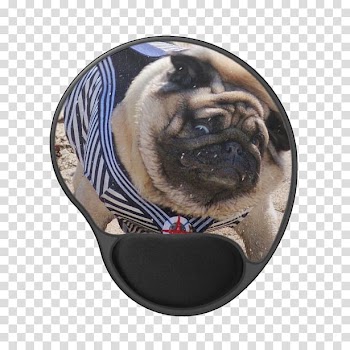 Pug Dog breed Sailor Snout Key Chains, pug watercolor transparent background PNG clipart