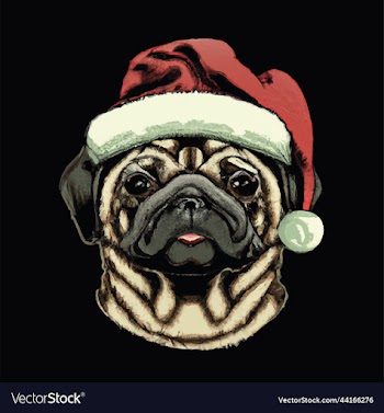 pug dog wearing a santa hat for christmas