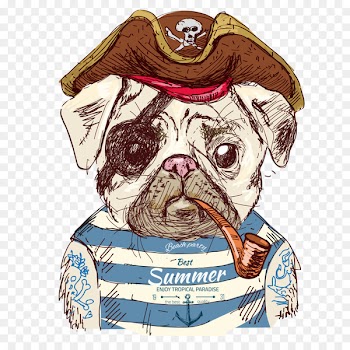 Pug Drawing Illustration - Cute pirate dog 