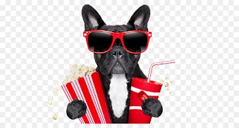 Pug Film Corn dog Stock photography - Creative cinema dog 