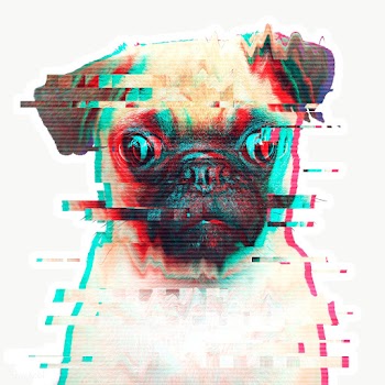 Pug glitch style sticker overlay with a white border | Free  transparent png - 2347673