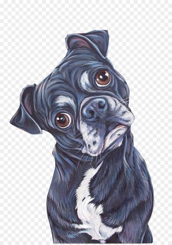 Pug Labrador Retriever Dog breed Puppy Cat - dog 