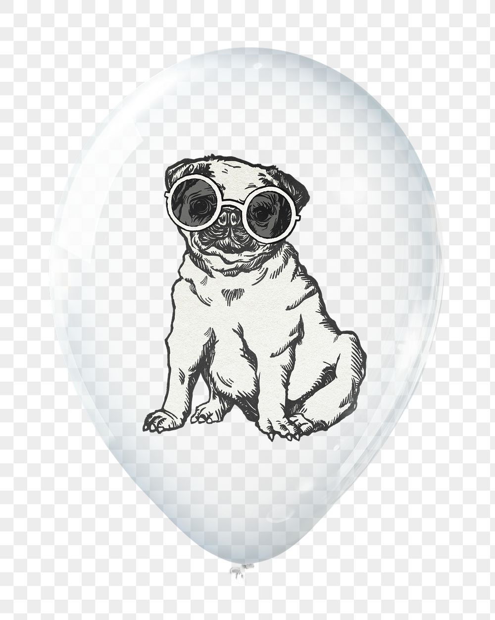 Pug png sticker, animal in clear | Free PNG - rawpixel