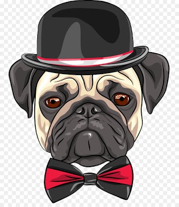 Pug, Puppy, Chihuahua, Dog PNG
