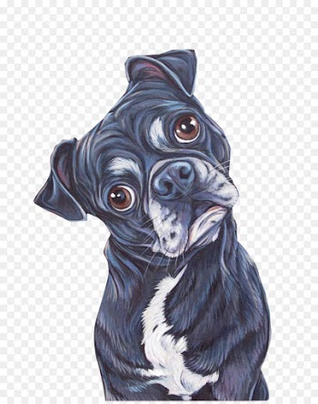 Pug, Puppy, Labrador Retriever, Dog, Canidae PNG