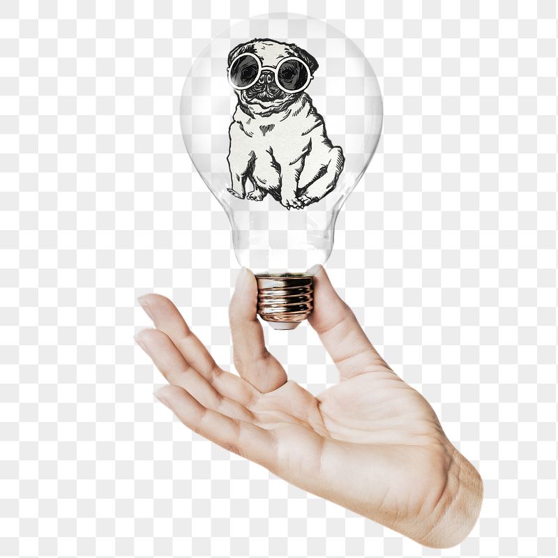 Pug puppy png sticker, hand | Free PNG - rawpixel