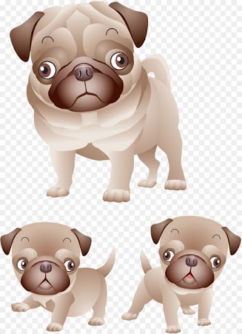 Pug Puppy Shar Pei French Bulldog T-shirt - puppy 