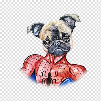 Pug Spider-Man Puppy, Hand painted watercolor dog spiderman transparent background PNG clipart