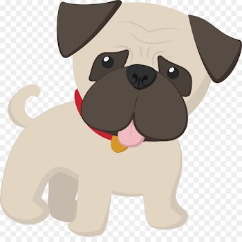 Pug Your puppy Dog breed Canidae - pug 